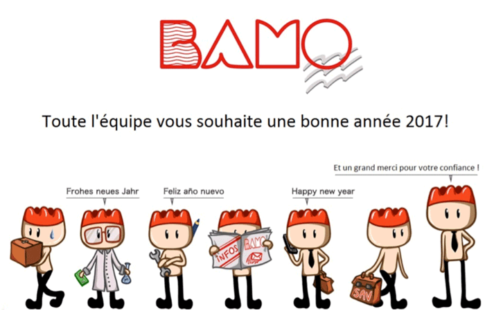 L’équipe BAMO